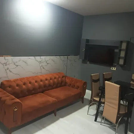 Rena Istanbulská provincie